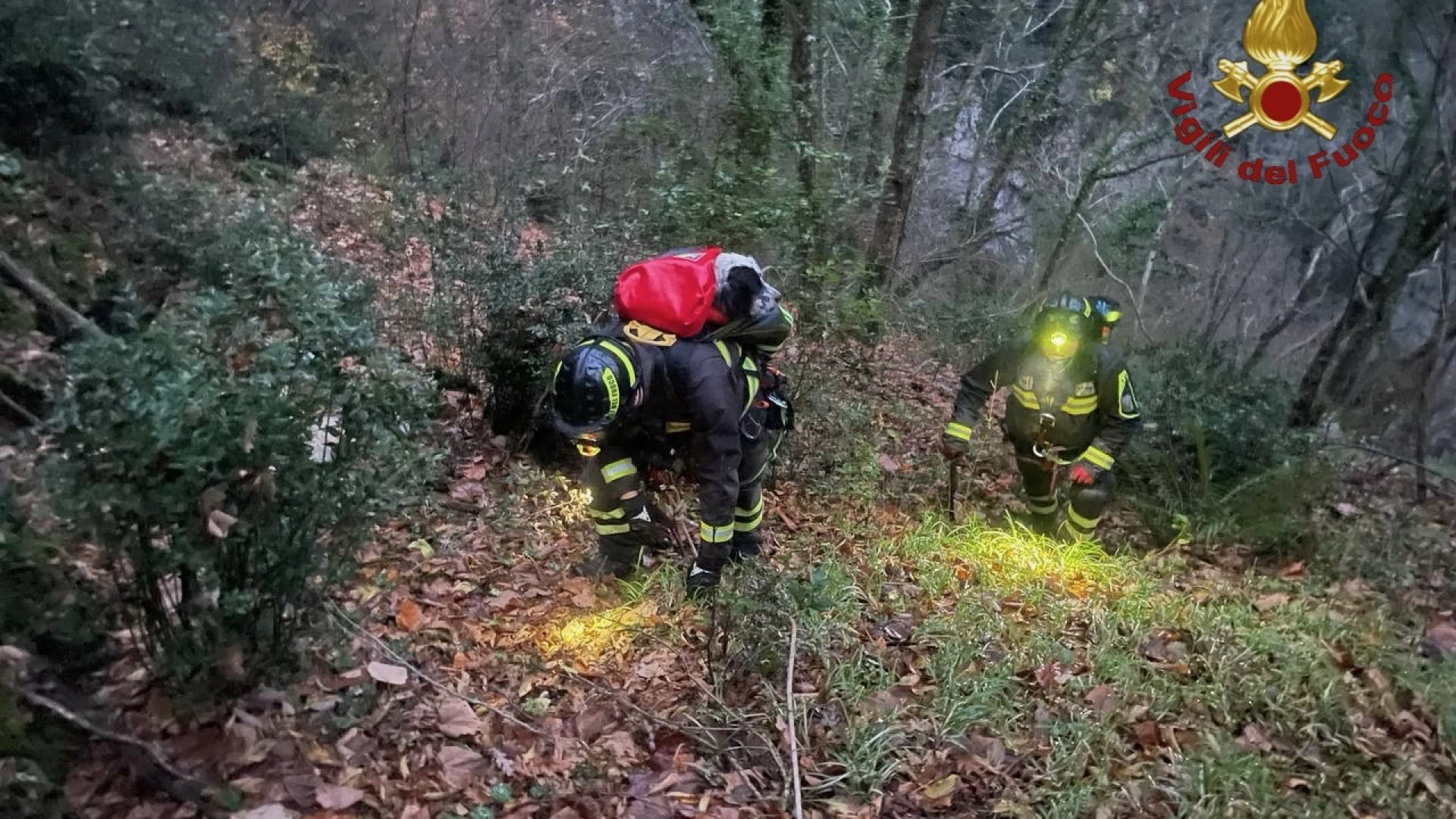 Pozzilli: i Vigili del Fuoco recuperano cane caduto in un burrone in localita’ Monte Santa Croce.