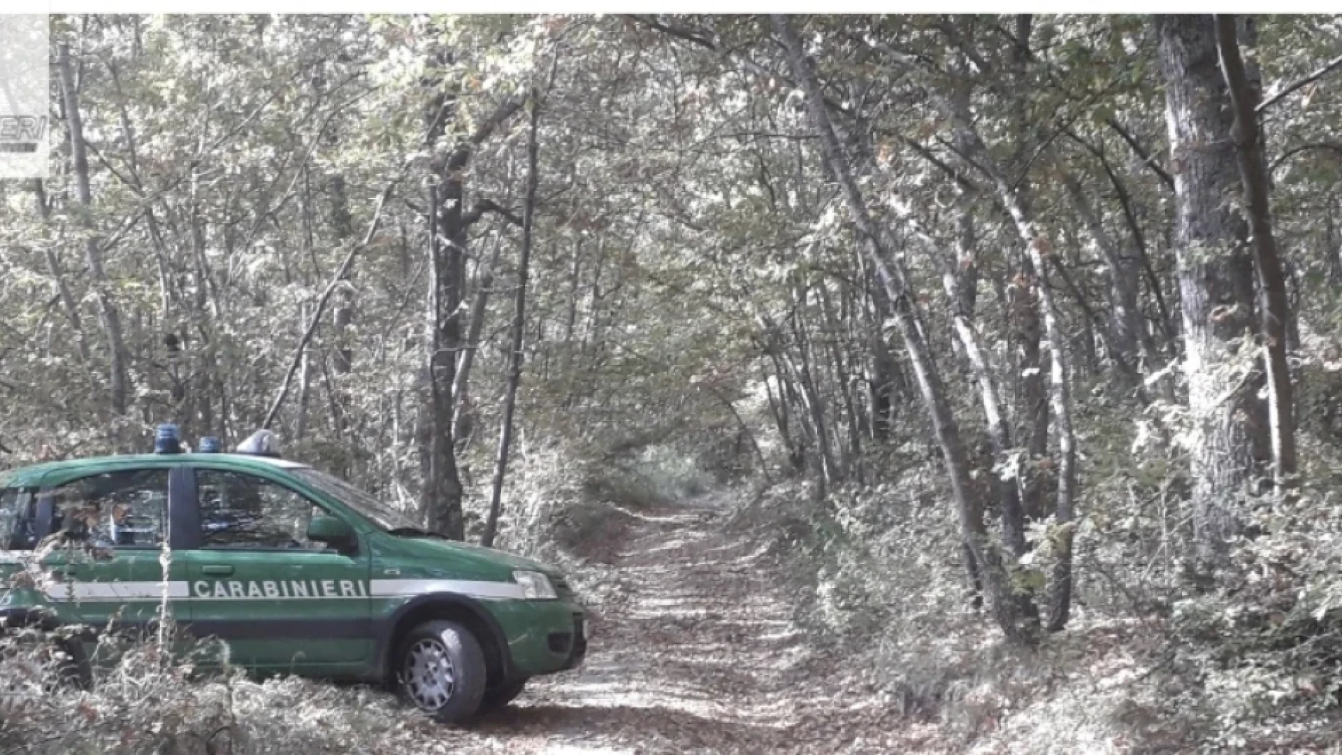 Carabinieri Forestali Abruzzo-Molise, il bilancio annuale delle attività 2024. Ben 118mila  i Controlli eseguiti sul territorio.