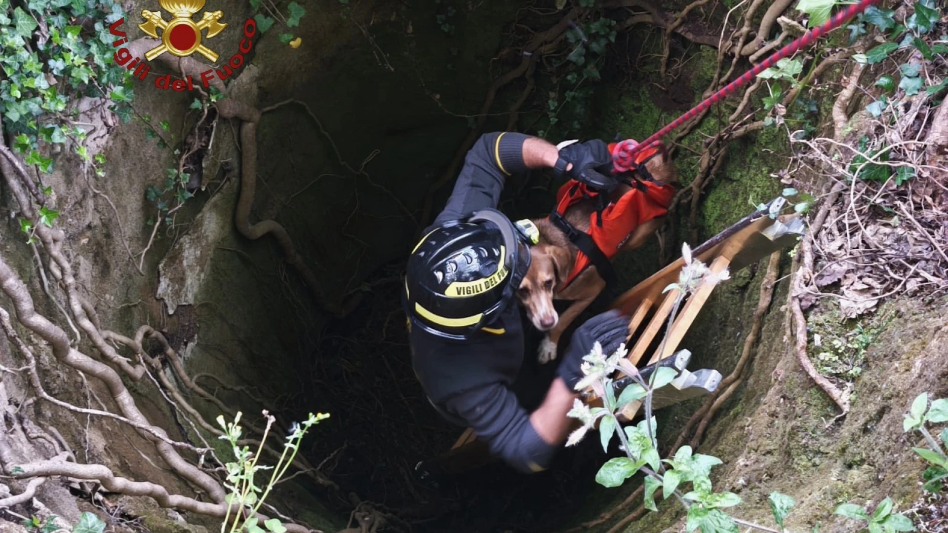 Carpinone: i Vigili del Fuoco recuperano sano e salvo un cane caduto in un pozzo nei pressi delle Cascate.