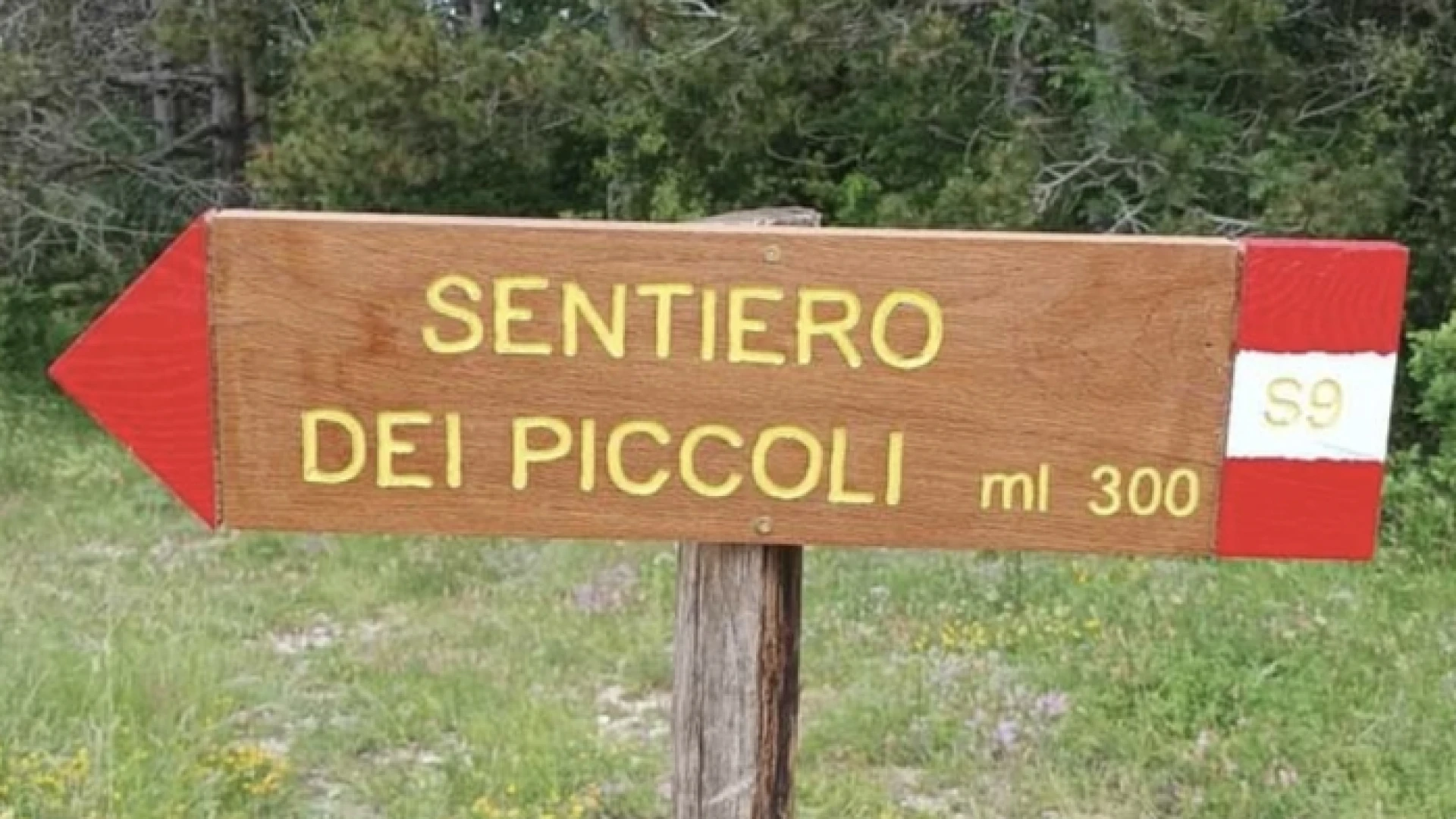 Carabinieri Forestali e studenti della scuola di Pesche insieme alla scoperta della Riserva Naturale dello Stato “Pesche”.
