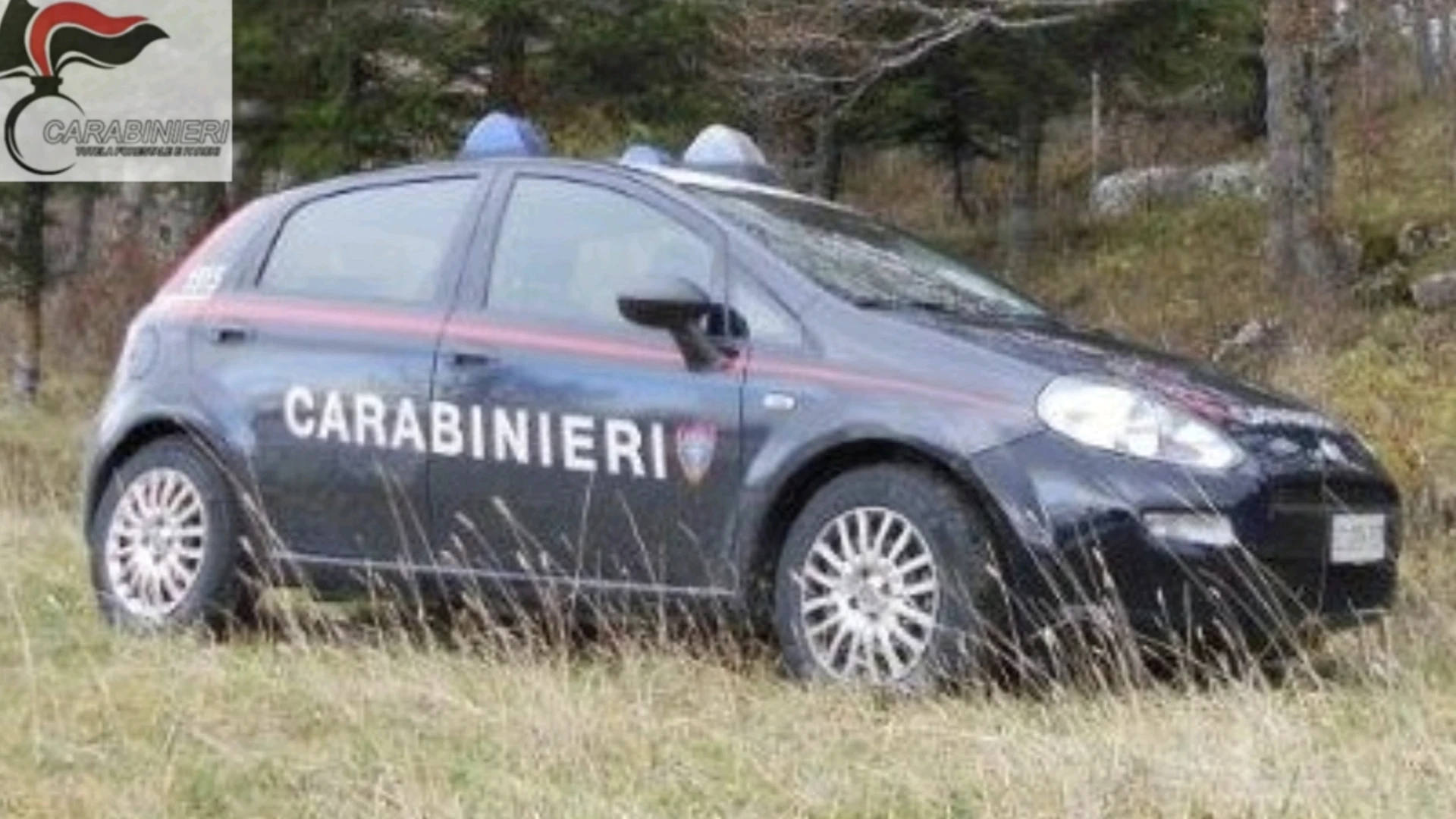 Violazioni in materia ambientale, i Carabinieri Forestali di Colli a Volturno sanzionano un autodemolitore.