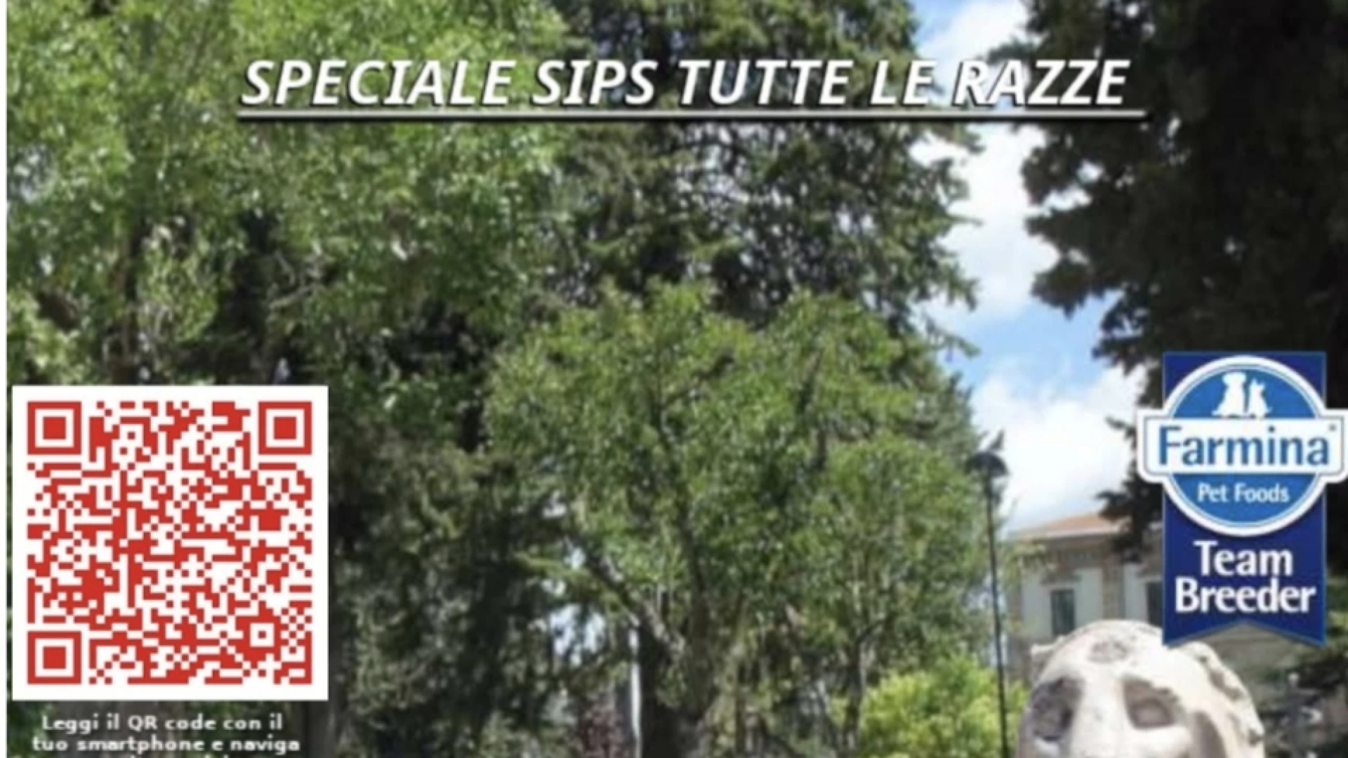 Isernia: sabato 31 maggio la IX Eposizione canina nazionale dell'Enci. Appuntamento presso la villa comunale.