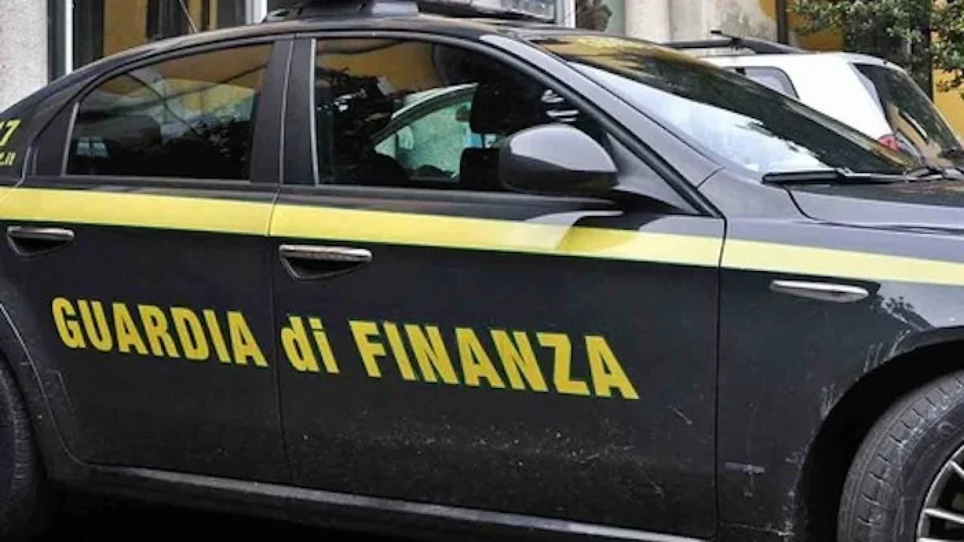 GdF Termoli, sequestro di polpi pescati illegalmente
