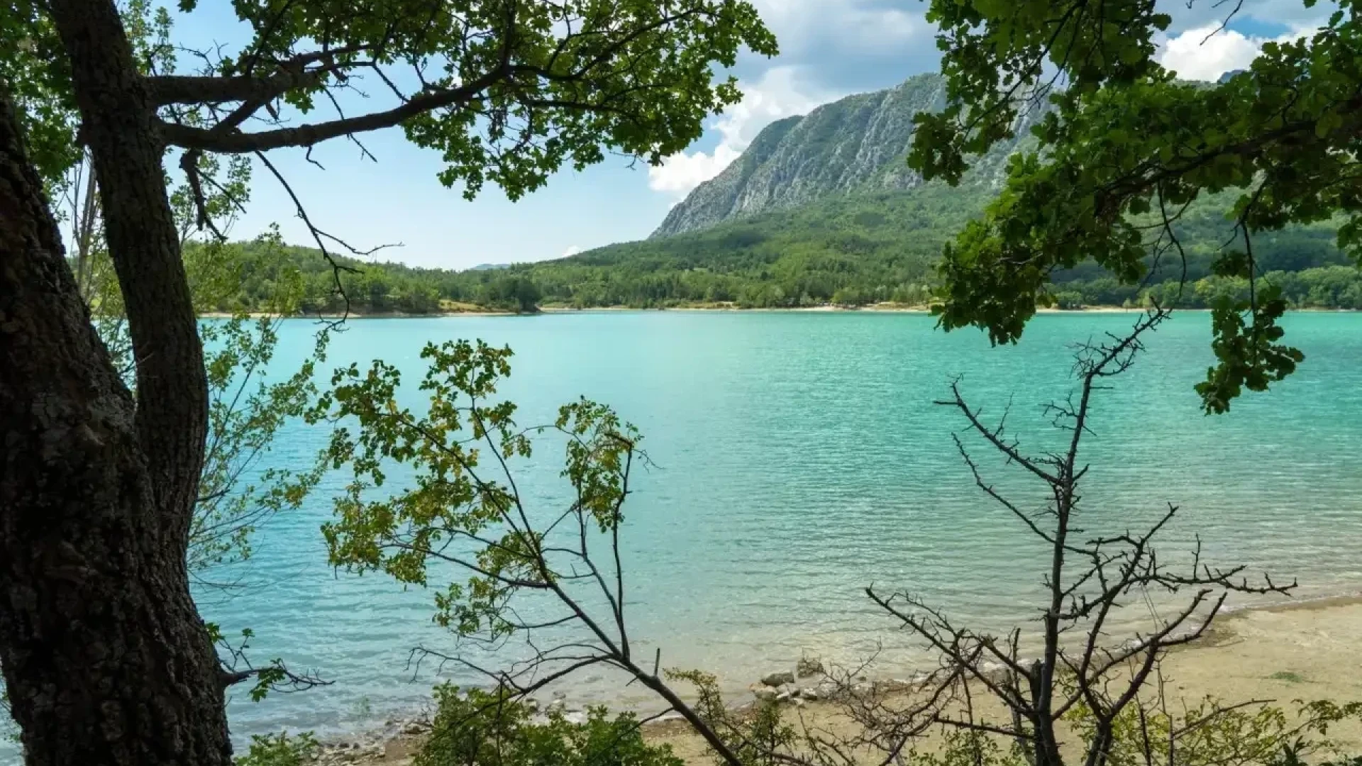 Il cortometraggio La Moto di Matteo Giampetruzzi alla Settimana della Critica del Festival di Venezia.