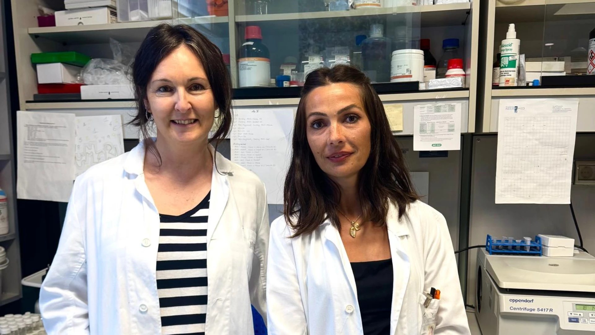 Neuromed: Individuato meccanismo che guida formazione mielina durante sviluppo cerebrale