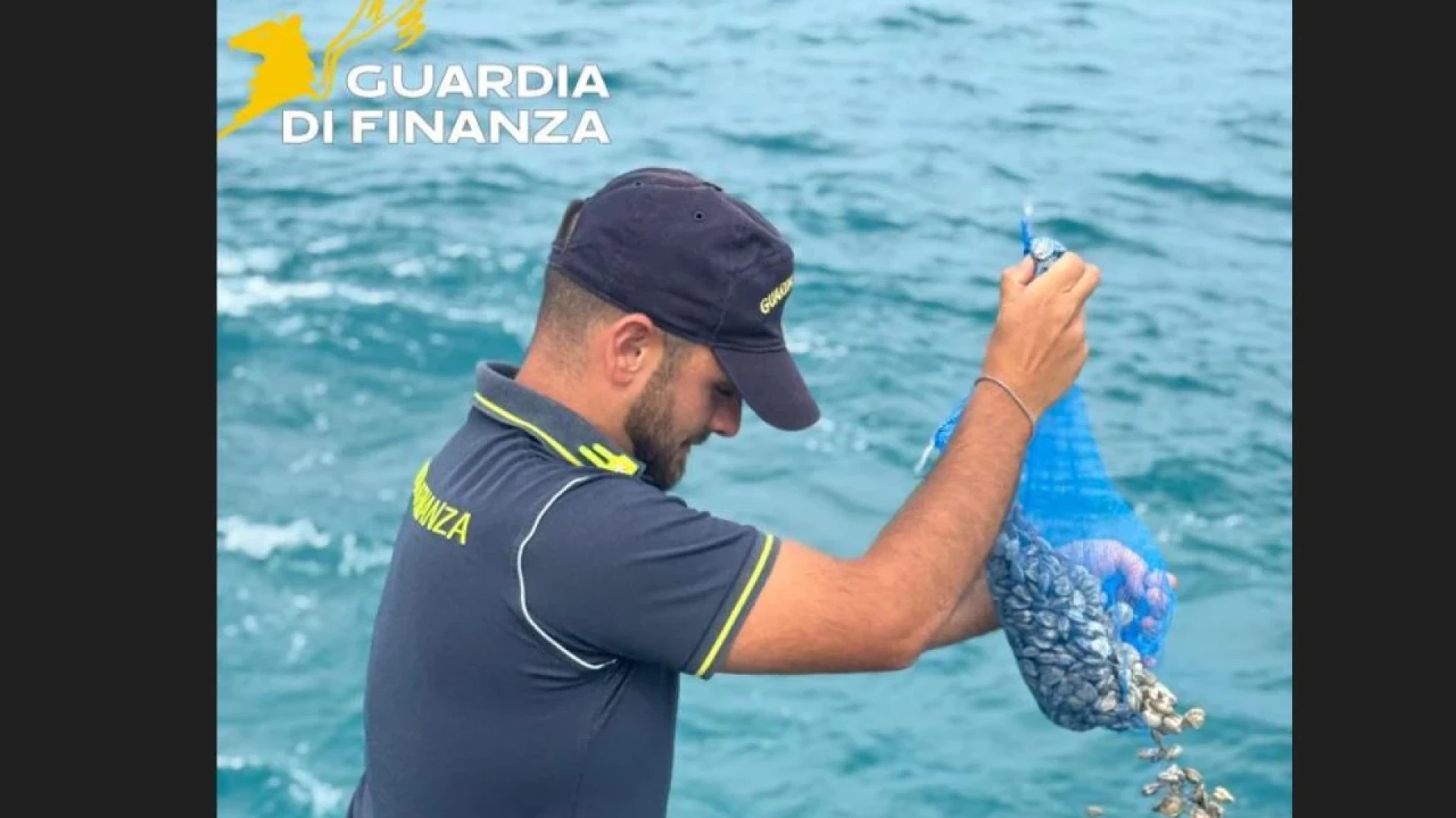 Guardia di Finanza RAN Molise: sequestrati dai finanzieri oltre 100kg di prodotti ittici non tracciati.