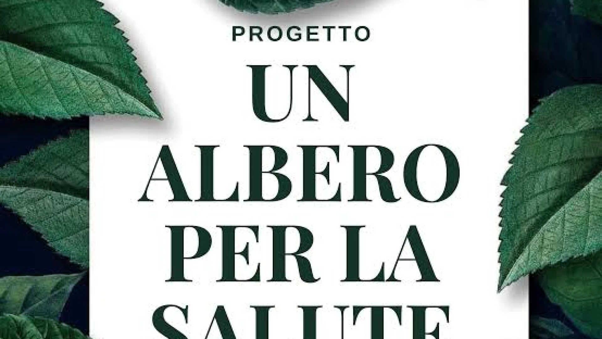 Un albero per la salute da tappa presso l'ospedale di comunità di Venafro.